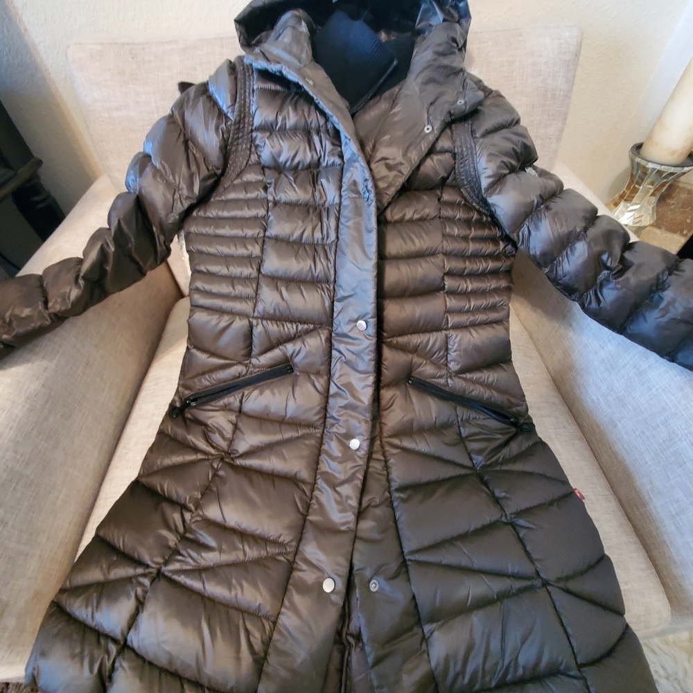 Winter Jacket